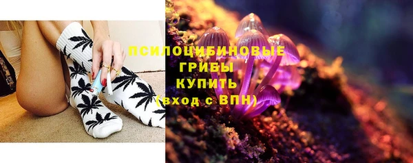 ПСИЛОЦИБИНОВЫЕ ГРИБЫ Осташков