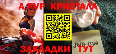 кокс Кингисепп