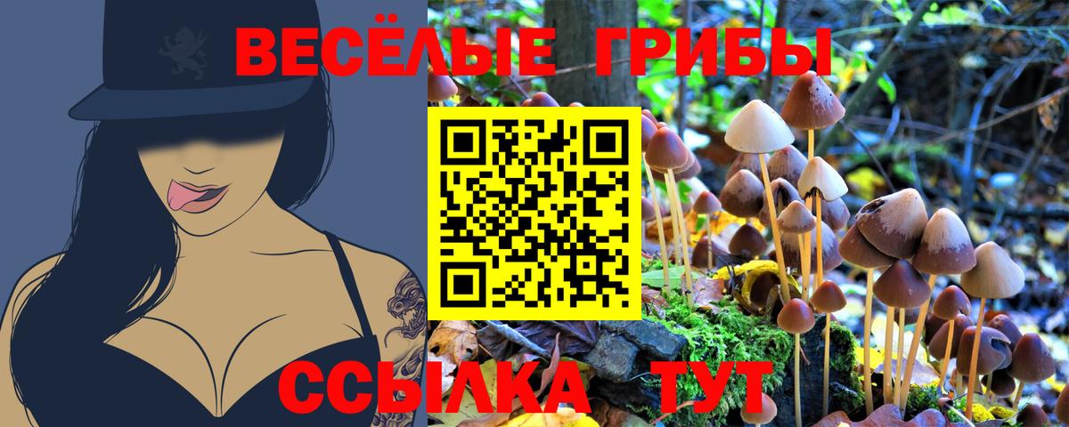 Галлюциногенные грибы Magic Shrooms  Вход с VPN  Коломна  Псилоцибиновые грибы ЛСД 